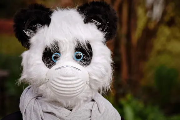 קזינו אוף דרימס תמיכה